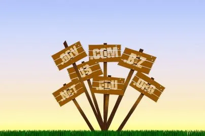 EMDs vs PMDs vs Branded Domains: Which One To Purchase