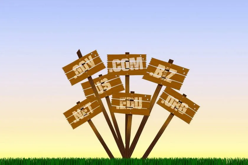 EMDs vs PMDs vs Branded Domains: Which One To Purchase