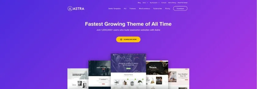 Wordpress Optimization How To Get 100 In Pagespeed Insights 3