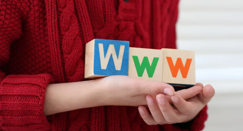 What Are The Rules Of The Internet For Safety Use