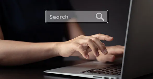 Seo Toolbar