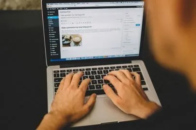The Most Popular And Best Wordpress Themes