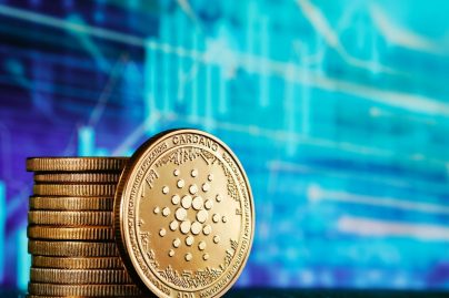 How Has Cardano Price Performed