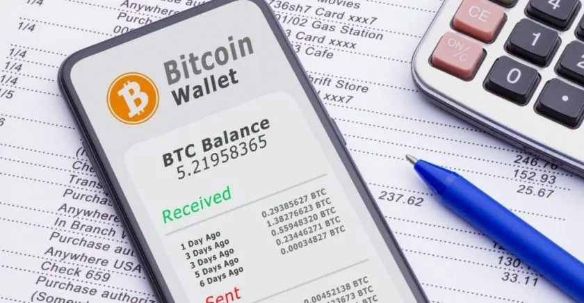 A Brief Guide For All Beginners To Buy The Best Bitcoin Wallet!