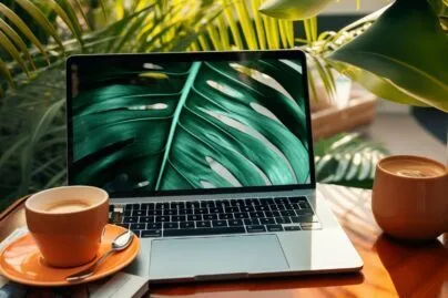 Digital Content Creation In Miami